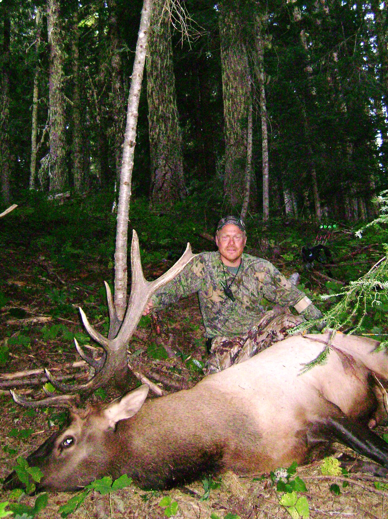 rich elk 210.JPG rich elk 210.JPG