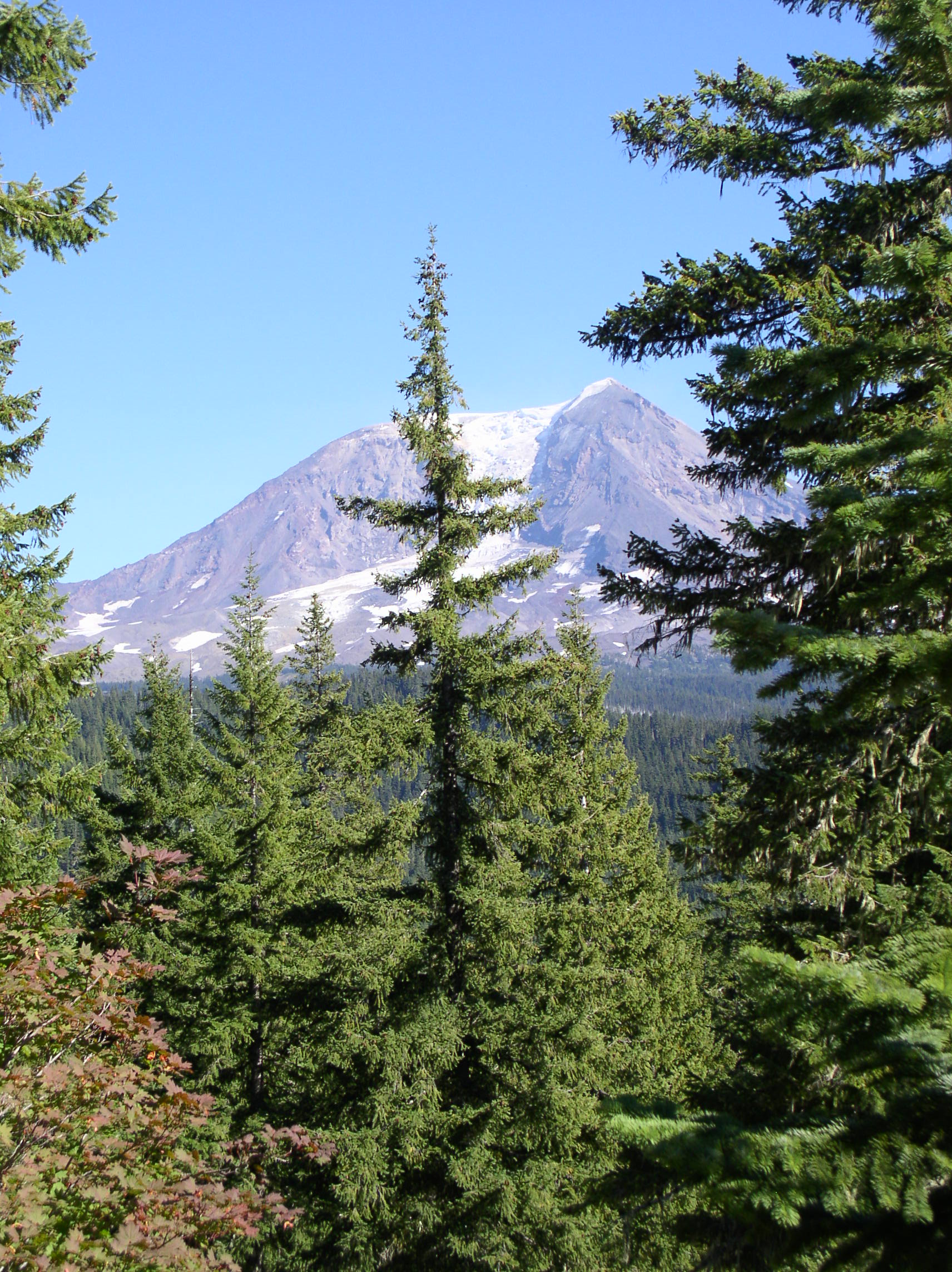 Elk Hunt 08 026.JPG Elk Hunt 08 026.JPG