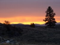 Oct 15 2012 Cabin etal 067.JPG Oct 15 2012 Cabin etal 067.JPG