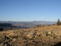 Deer Hunting 06 030.jpg