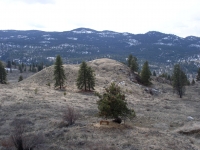 cabin march 18 08 029.jpg