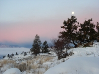 EWA 1-5-7 026.jpg EWA 1-5-7 026.jpg