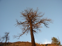 EWA July 5 05 096.jpg EWA July 5 05 096.jpg