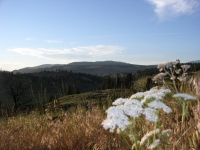 EWA July 5 05 081.jpg EWA July 5 05 081.jpg