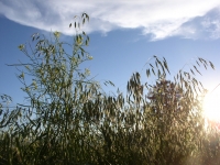 EWA July 5 05 077.jpg