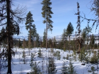 February Cabin 08 017.jpg February Cabin 08 017.jpg