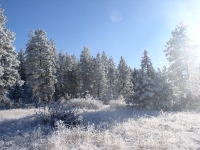 November thru December 07 005.jpg November thru December 07 005.jpg