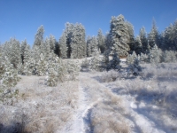 November thru December 07 003.jpg