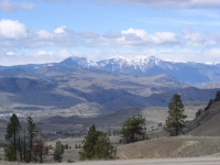 Spring Turkey 07 008.jpg