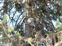 cabin 7-23-09 034.JPG