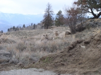 cabin march 18 08 025.jpg