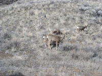 cabin march 18 08 019.jpg