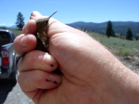 EWA July 5 05 076.jpg