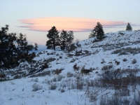 January Cabin 08 019.jpg