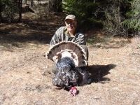 Spring Turkey 07 036.jpg