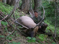 rich elk 214.JPG