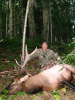 rich elk 210.JPG