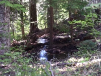 lakeside villa 010.JPG