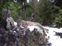 Hunting Nov 06 015.jpg Hunting Nov 06 015.jpg