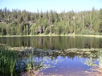 cabin 7-23-09 032.JPG cabin 7-23-09 032.JPG