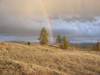 Cabin April 09 003.JPG