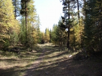 ewa, bear et al 048.JPG ewa, bear et al 048.JPG