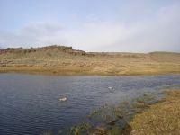 duck hunt Nov 10 2012 012.JPG