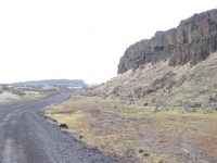 duck hunt Nov 10 2012 004.JPG