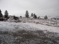 Fitz Hugh 004.JPG Fitz Hugh 004.JPG